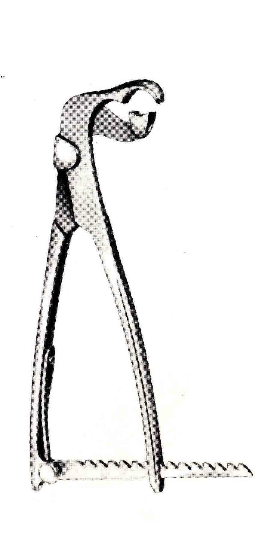 LAMBOTTE KEMİK TUTUCU KLEMPİ 19CM